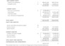 prepare financial statements with ratio and performance analysis